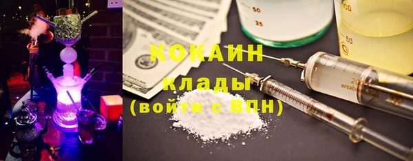 ПСИЛОЦИБИНОВЫЕ ГРИБЫ Алзамай
