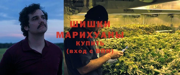 ПСИЛОЦИБИНОВЫЕ ГРИБЫ Алзамай