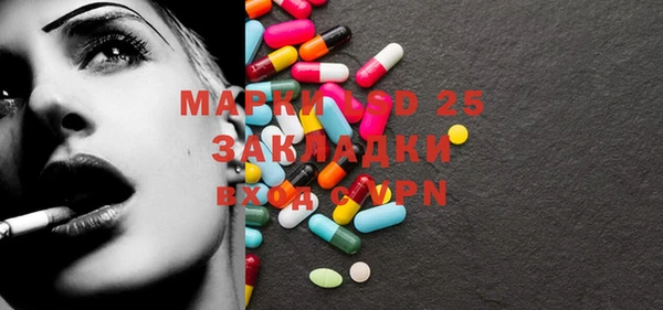 ПСИЛОЦИБИНОВЫЕ ГРИБЫ Алзамай