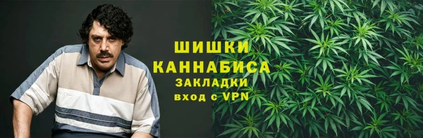 дмт Арсеньев