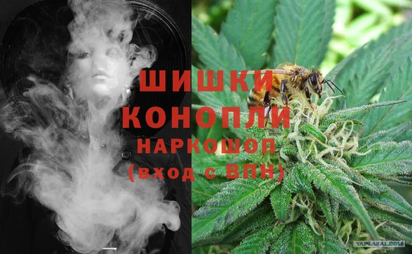 дмт Арсеньев