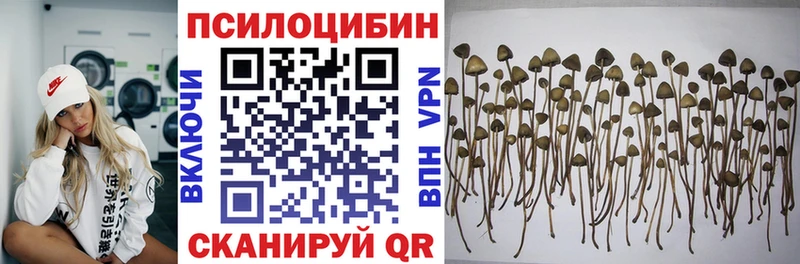 Псилоцибиновые грибы GOLDEN TEACHER  Лабинск 